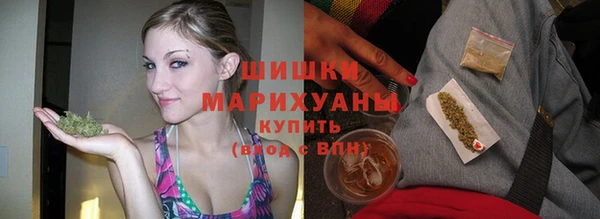 шишки Козельск