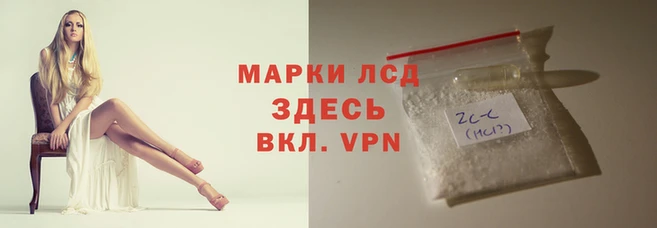 амф Корсаков