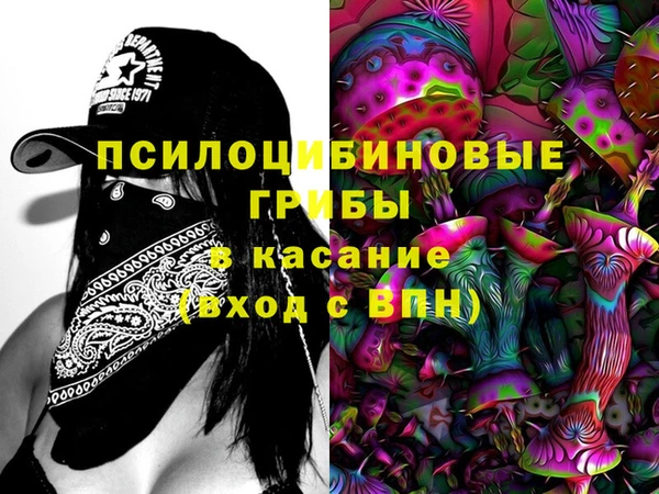 шишки Козельск