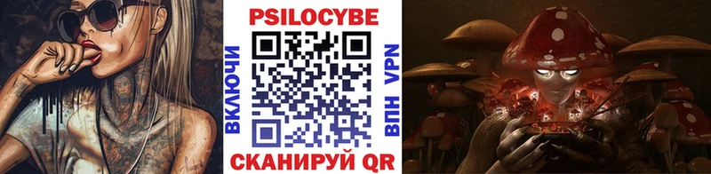 blacksprut tor  Бирск  Псилоцибиновые грибы Psilocybe 