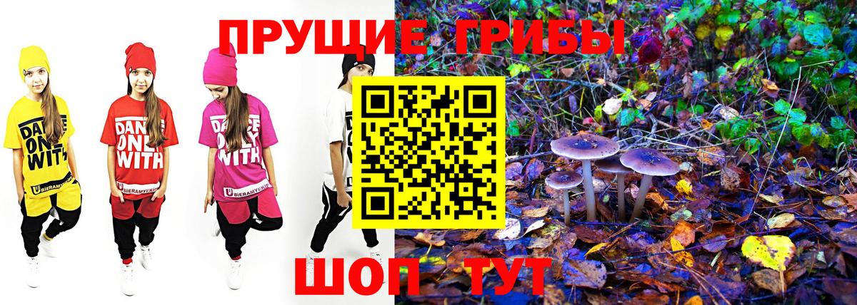 Галлюциногенные грибы прущие грибы  Вход с VPN  Псилоцибиновые грибы MAGIC MUSHROOMS  Бирск 